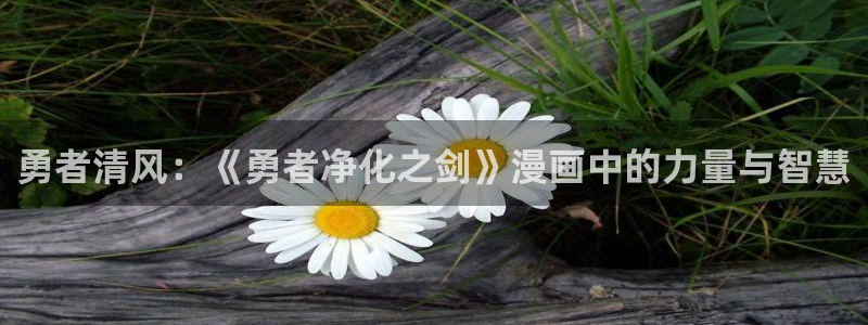 歪歪漫画重考生漫画免费看看：勇者清风：《勇者净化之剑》漫画中的力量与智慧
